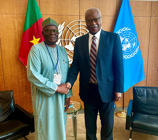 Prof. Gambari meeting with the President