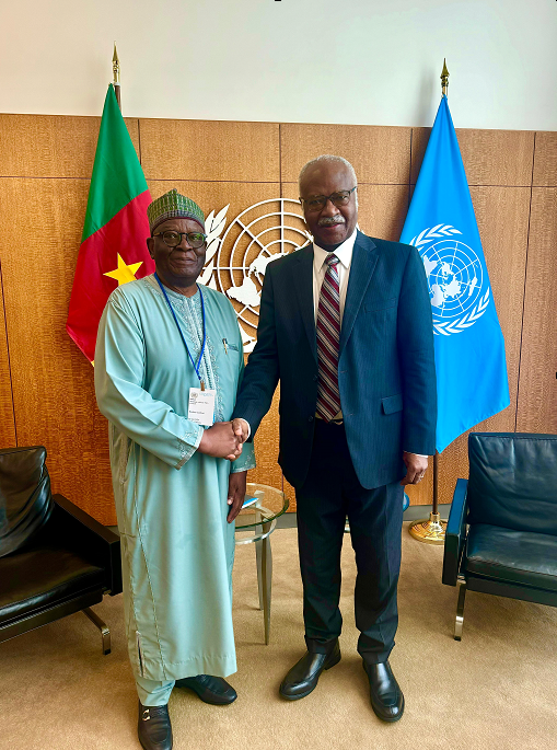 Prof. Gambari meeting with the President