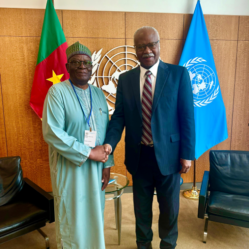 Prof. Gambari meeting with the President