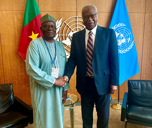 Prof. Gambari meeting with the President