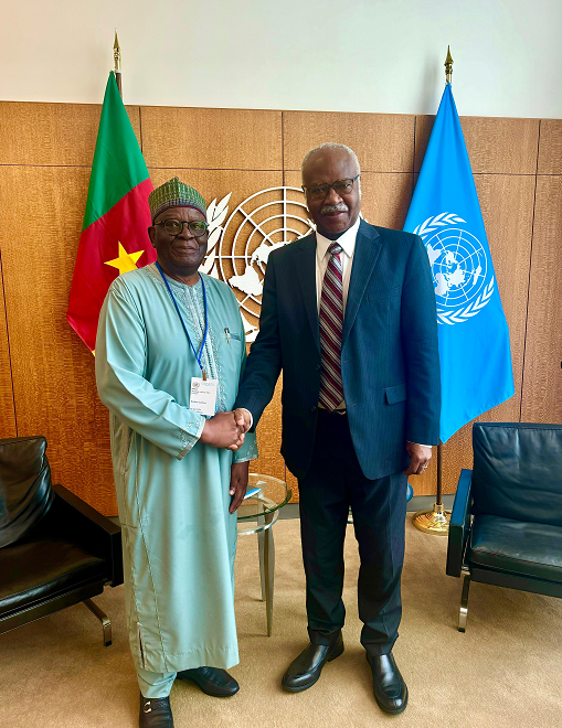 Prof. Gambari meeting with the President